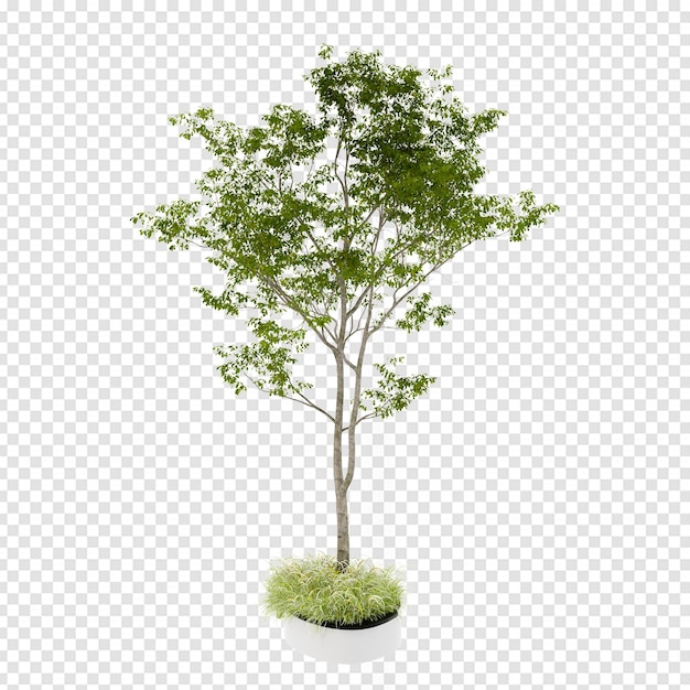 Isometric tree in 3d rendering