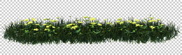 PSD isométrique plante fleur d'herbe rendu 3d