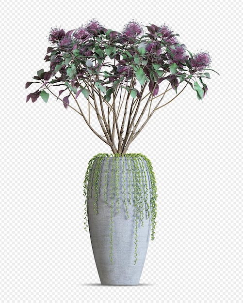 Isometrische 3D-Rendering der Anlage