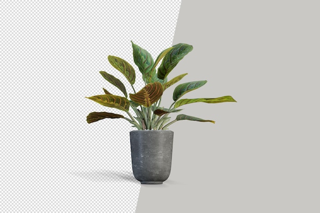 Isometrische 3D-Rendering der Pflanze