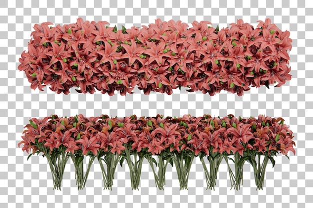 Isometrische Blumenstrauchpflanze 3D-Rendering