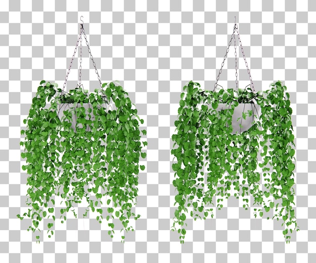 Isometrische hängende pflanzenblume 3d-rendering