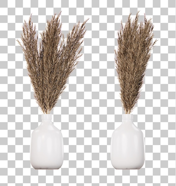Isometrische Pampagrasblume 3D-Rendering