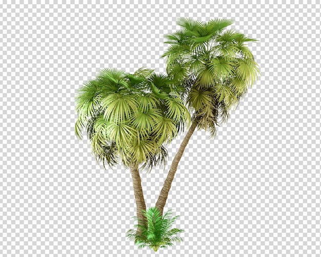 Isometrische Sommerpflanze in 3D-Rendering isoliert