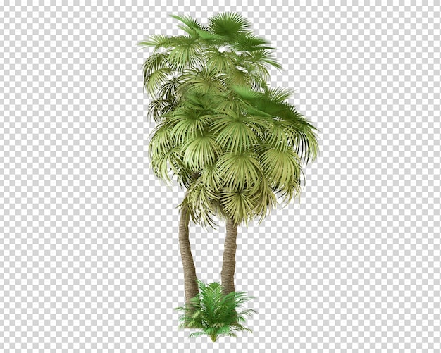 Isometrische Sommerpflanze in 3D-Rendering isoliert