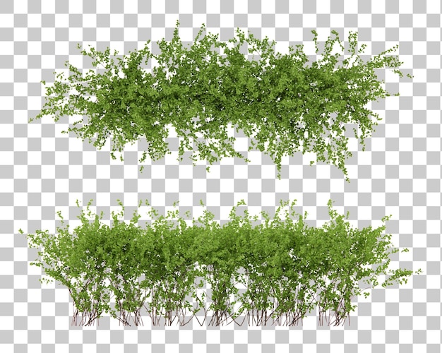 Isometrische Strauchpflanze 3D-Rendering