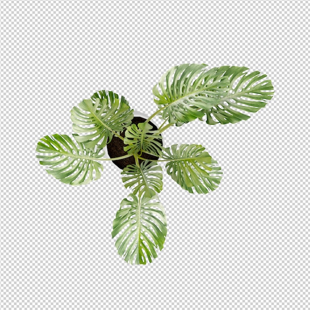 Isometrische Wiedergabe des Betriebs 3d