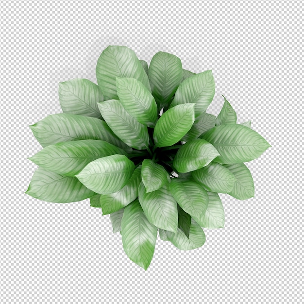 Isometrische Wiedergabe des Betriebs 3d