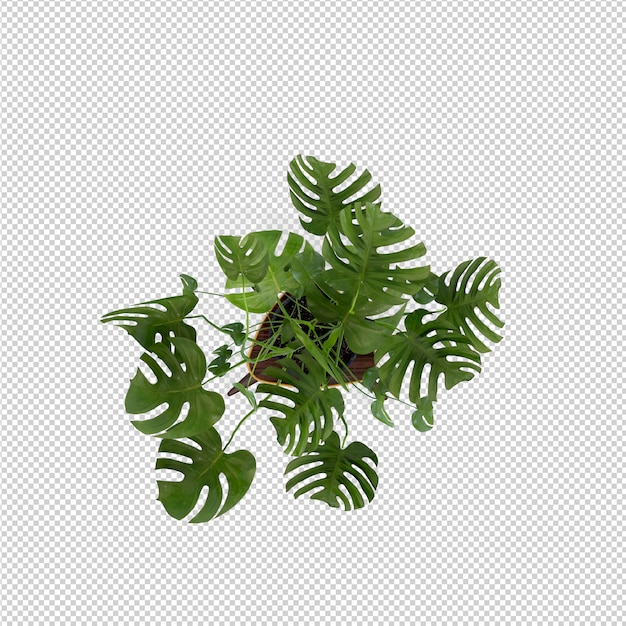 Isometrische Wiedergabe des Betriebs 3d