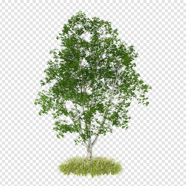Isometrischer Baum in 3D-Rendering