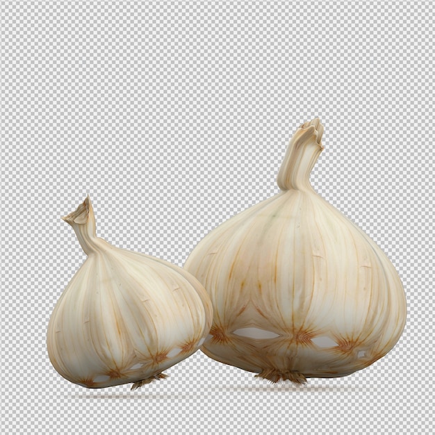 Isometrischer Knoblauch 3d übertragen