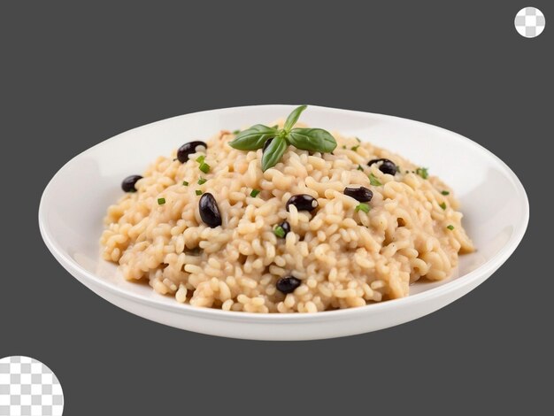 PSD italienisches risotto png durchsichtig