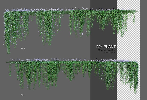 PSD ivy tem uma grande variedade de flores