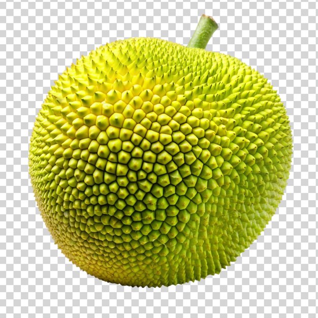 PSD jackfruiton isolado em fundo transparente