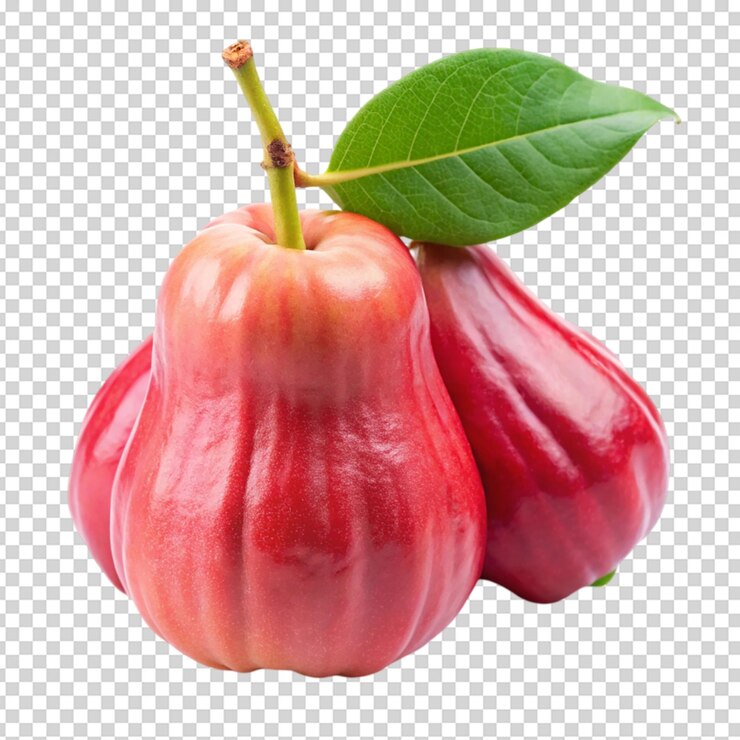 PSD jambu o manzana rosa fondo blanco aislado