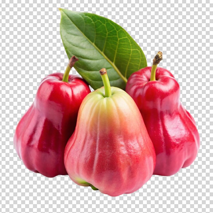 PSD jambu o manzana rosa fondo blanco aislado