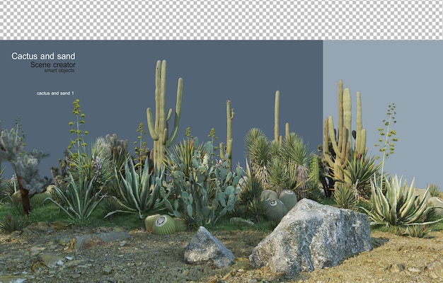 Jardin De Cactus Sur Sable Avec Pierres Décoratives