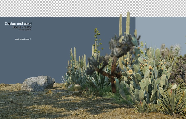 PSD jardin de cactus sur sable avec pierres décoratives