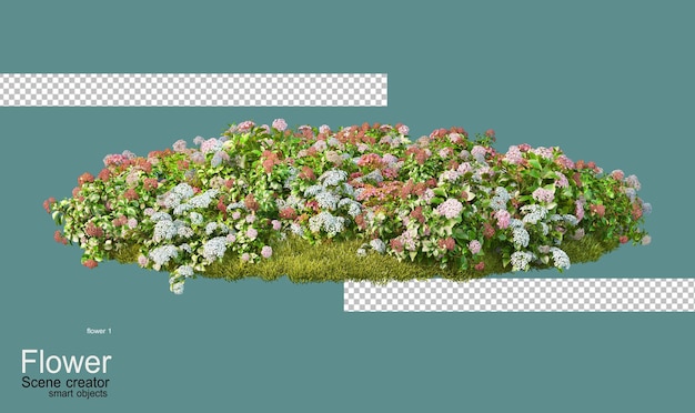 Jardin fleuri coloré dans un petit jardin