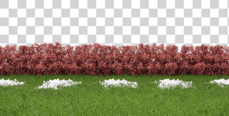 PSD jardin isométrique avec scène de rendu 3d de plantes