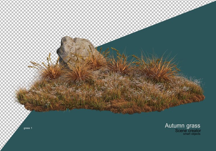 PSD jardín de pasto seco en otoño