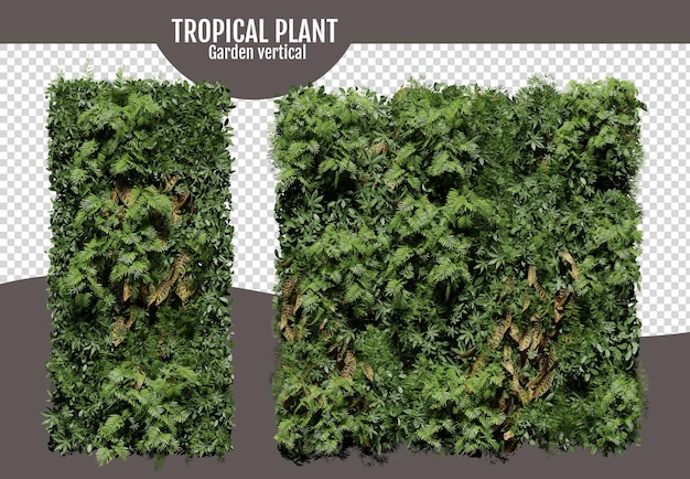 Jardin de plantes tropicales vertical sur un fond blanc