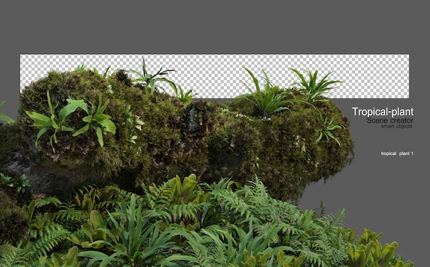 Jardín tropical con piedras y troncos decorativos