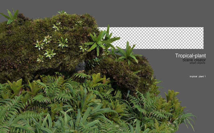 PSD jardin tropical avec des pierres et des souches décoratives
