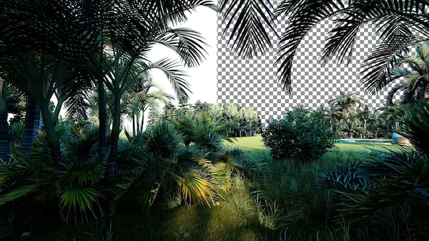 Jardín tropical PNG telón de fondo transparente renderizado en 3D
