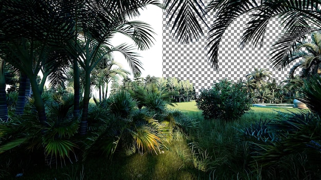 Jardín tropical png telón de fondo transparente renderizado en 3d