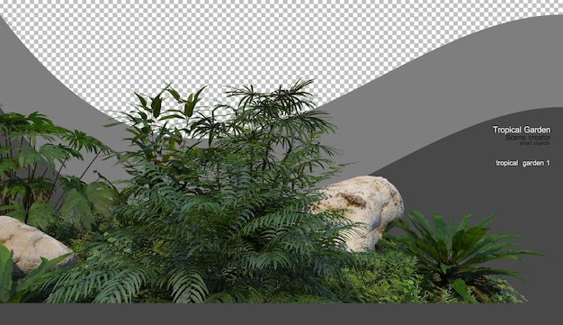 Un jardín tropical con una variedad de plantas.