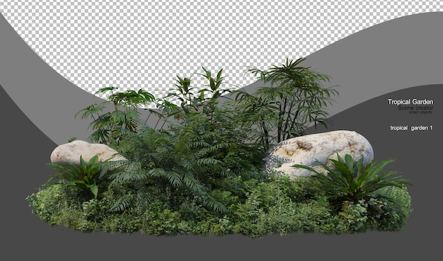 Un jardín tropical con una variedad de plantas.
