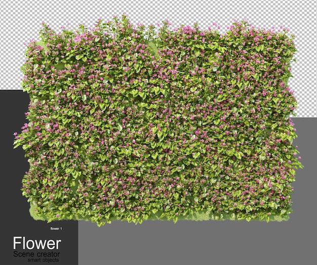 Un jardín con una variedad de flores