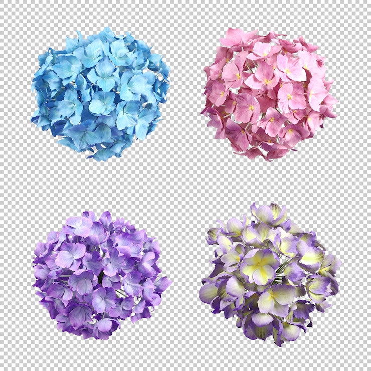 PSD jardinería flor belleza florecimiento 3d renderizado conjunto recortar fondos