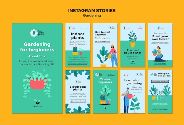 Jardinería para principiantes historias de instagram.