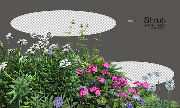 Jardines de flores y arbustos de colores