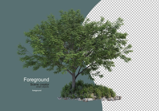 jardins de fleurs et arbustes avec arbre avant