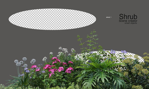 Jardins de fleurs et arbustes colorés