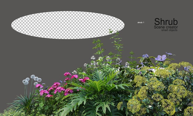 Jardins de fleurs et arbustes colorés