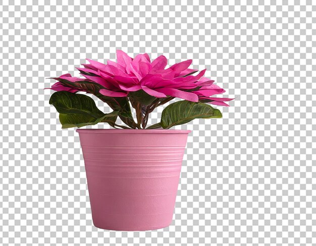 PSD jarro de planta rosa para decoração doméstica