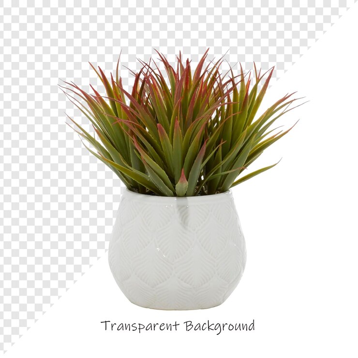 PSD un jarrón blanco con una planta en él que dice transparente en él