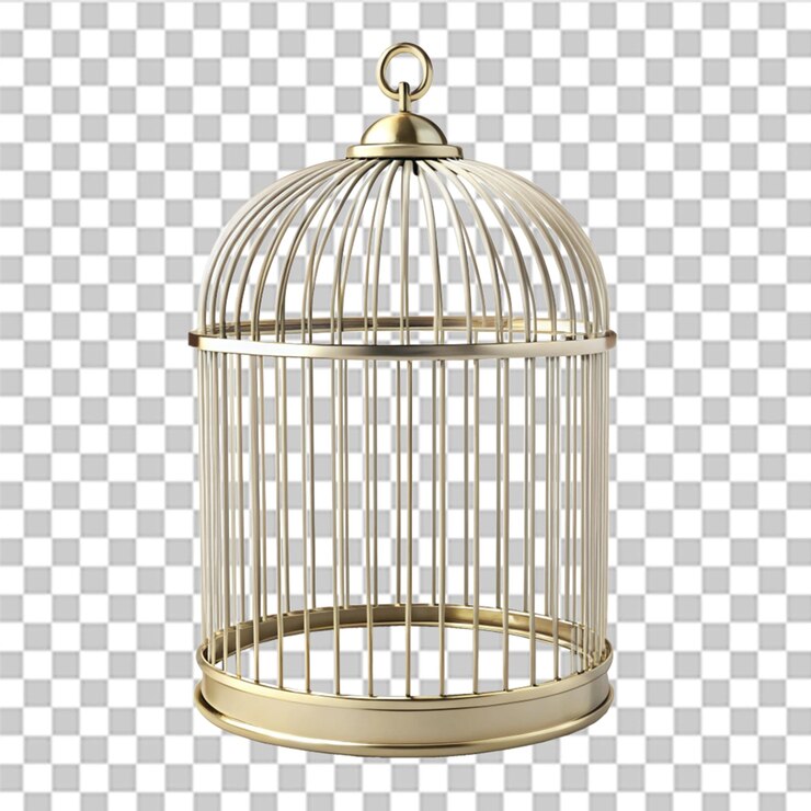 PSD una jaula de pájaros vacía con la puerta abierta aislada sobre un fondo transparente