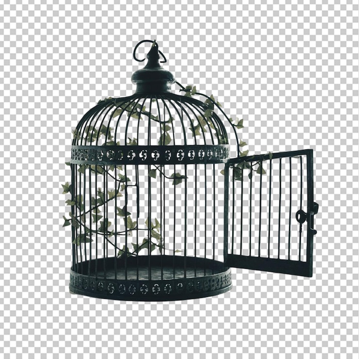 PSD una jaula de pájaros vacía con la puerta abierta aislada