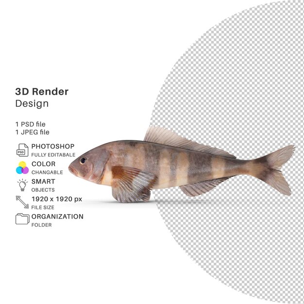 Javidan-fisch 3d-rendering