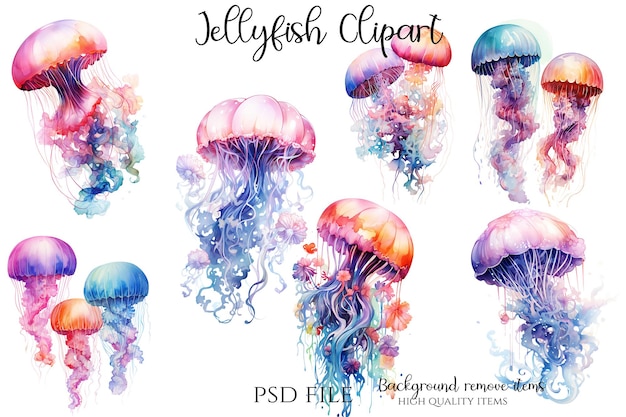 PSD jellyfish clipart-illustration