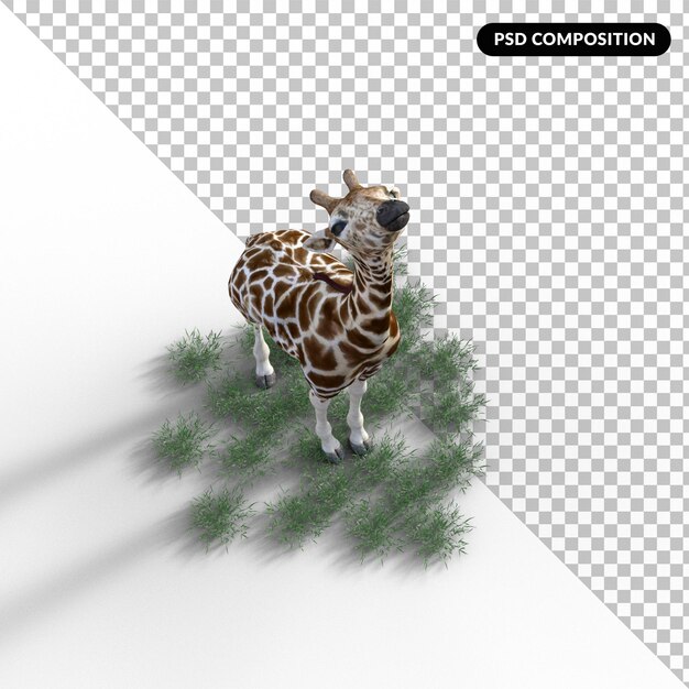 jirafa con hierba aislada renderización 3D