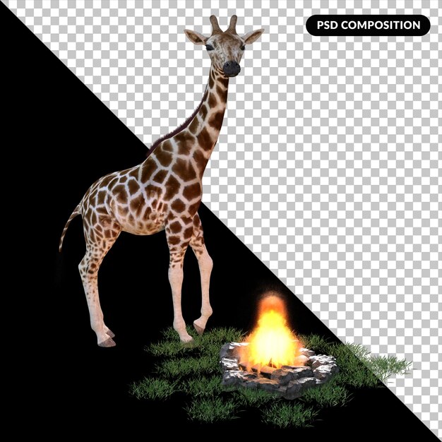 jirafa con hierba aislada renderización 3D