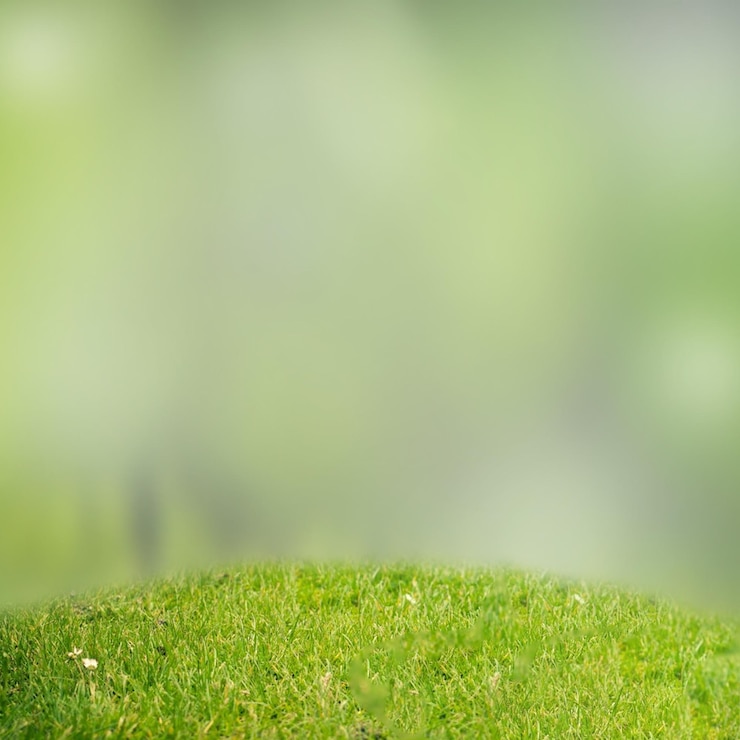 PSD joli fond d'herbe verte et de ciel