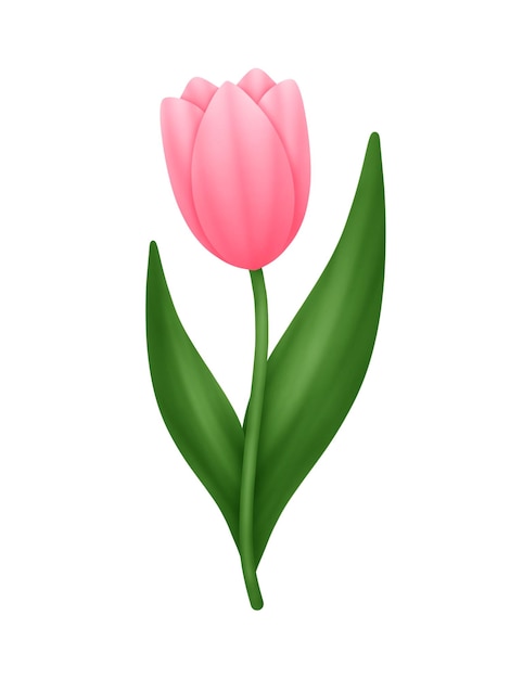 PSD une jolie fleur de tulipes rose