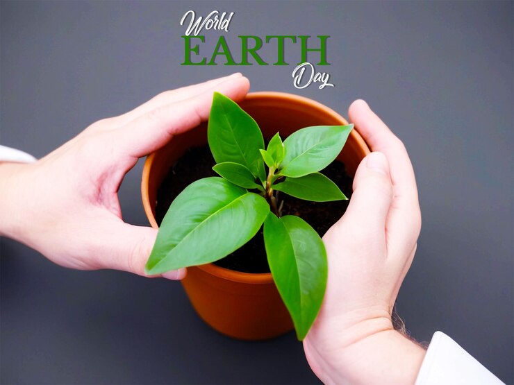 Journée mondiale de l'environnement avec des plantes qui poussent dans les mains